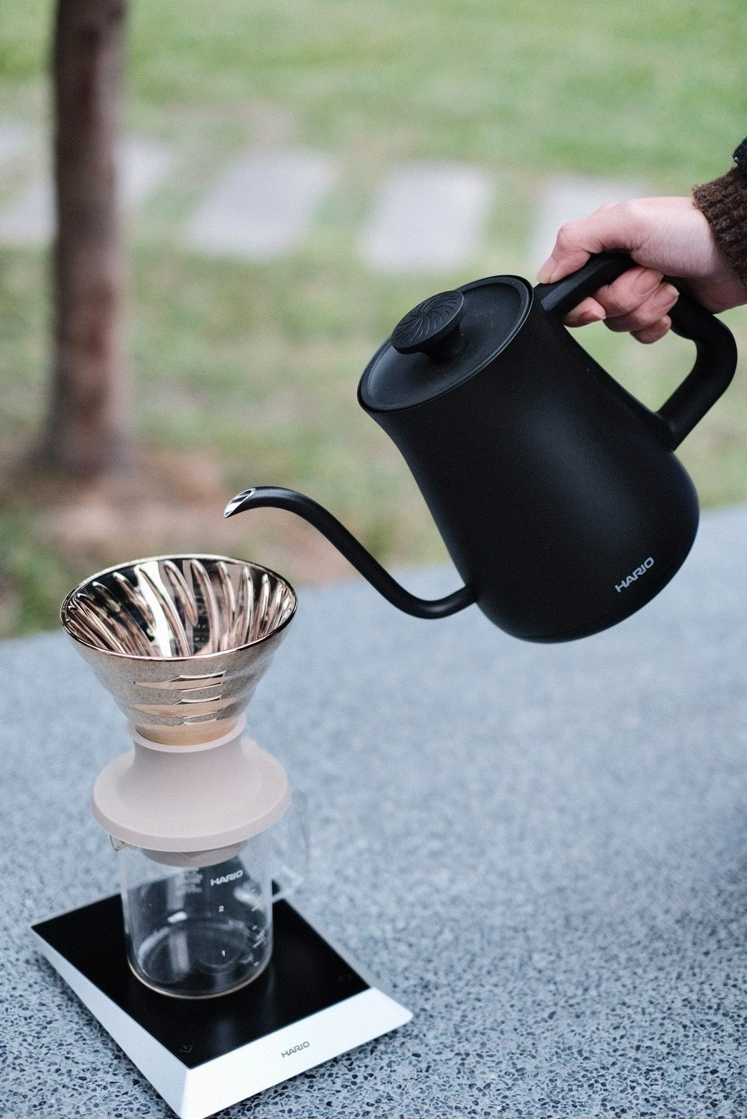 Alpha Electric Kettle with Temperature Control - Image 3