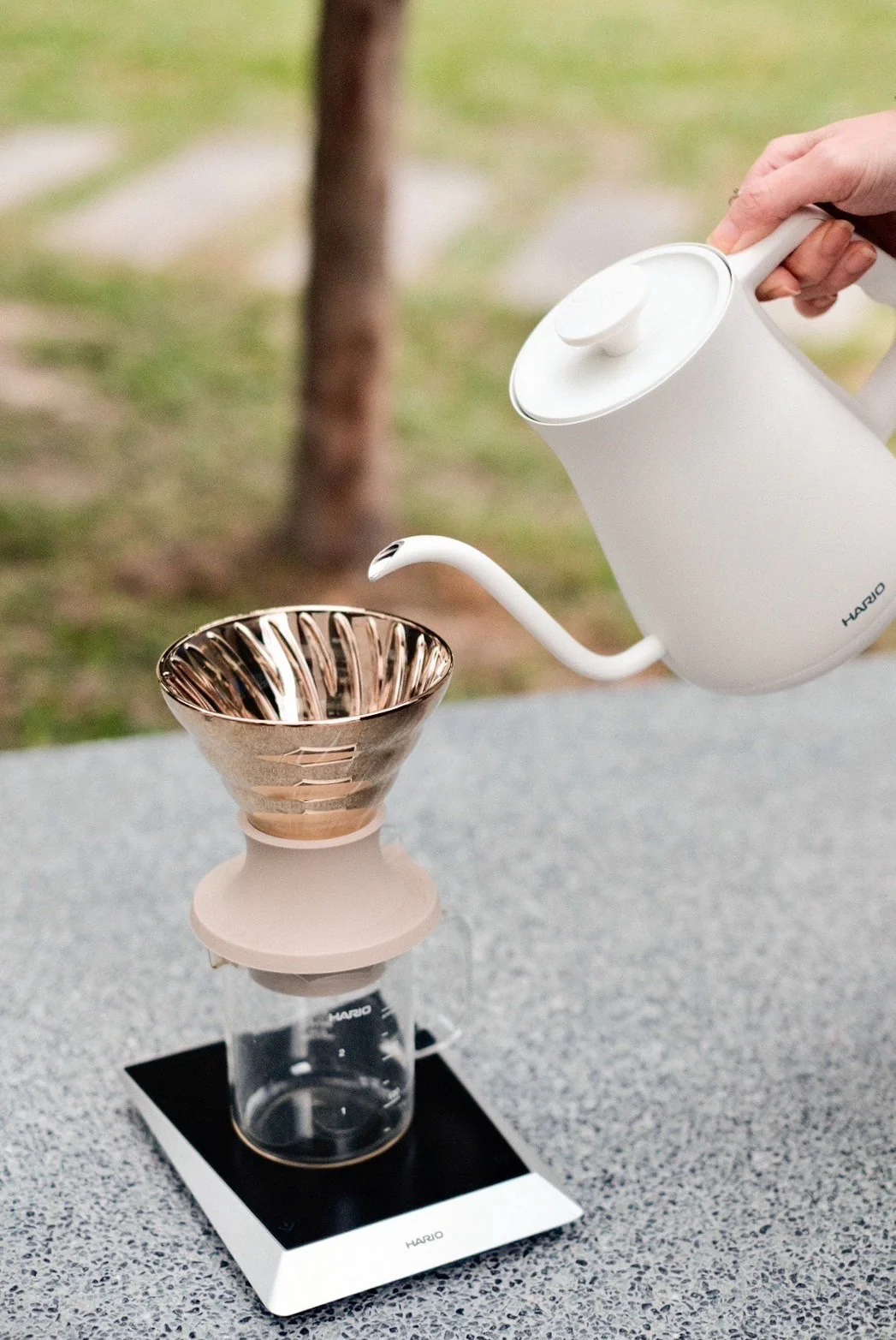 Alpha Electric Kettle with Temperature Control - Image 4