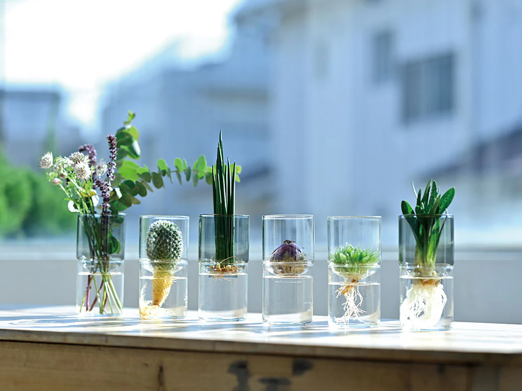 Glass Flower Vase - Image 6