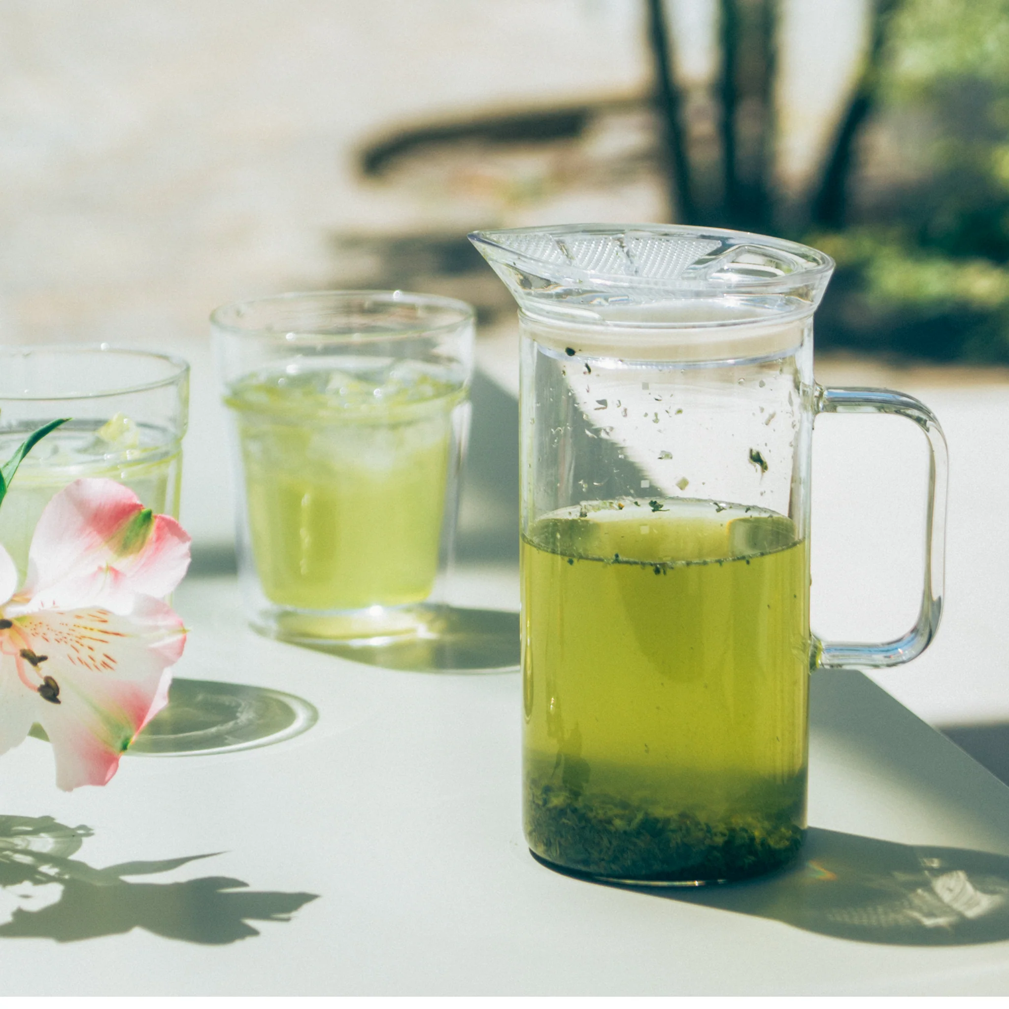Simply Glass Tea Maker - Image 4
