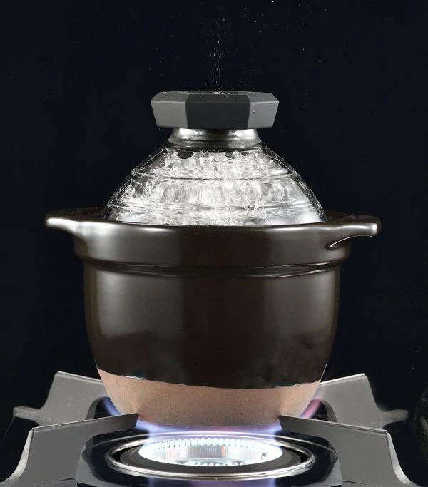 GOHANGAMA Glass Lid Rice Cooker (1-2 Cups) - Image 3
