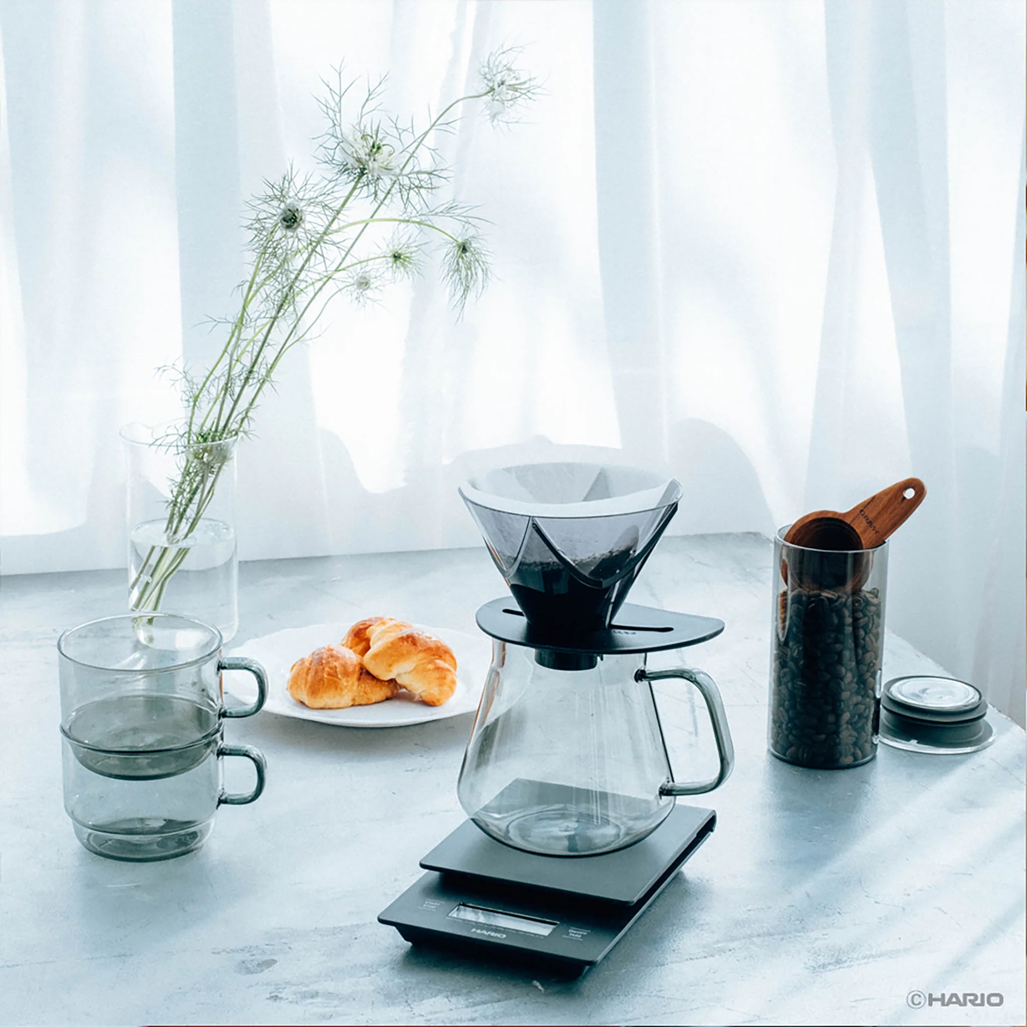 HARIO COLORS Tea & Coffee Server - Image 6