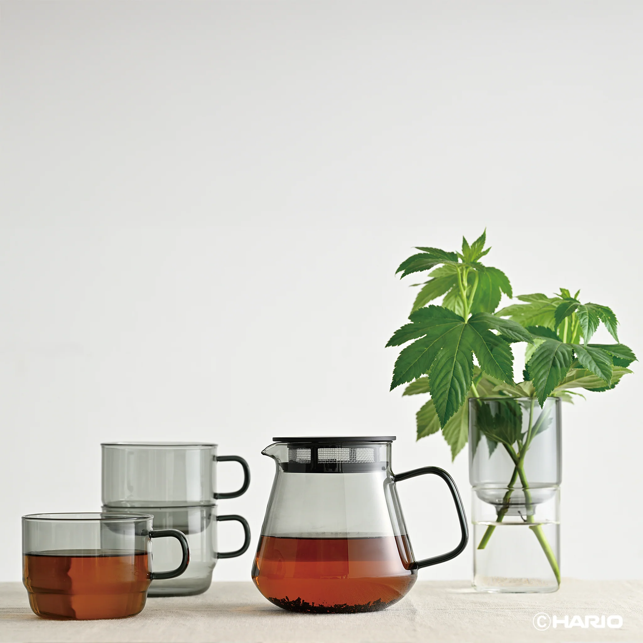 HARIO COLORS Tea & Coffee Server - Image 9