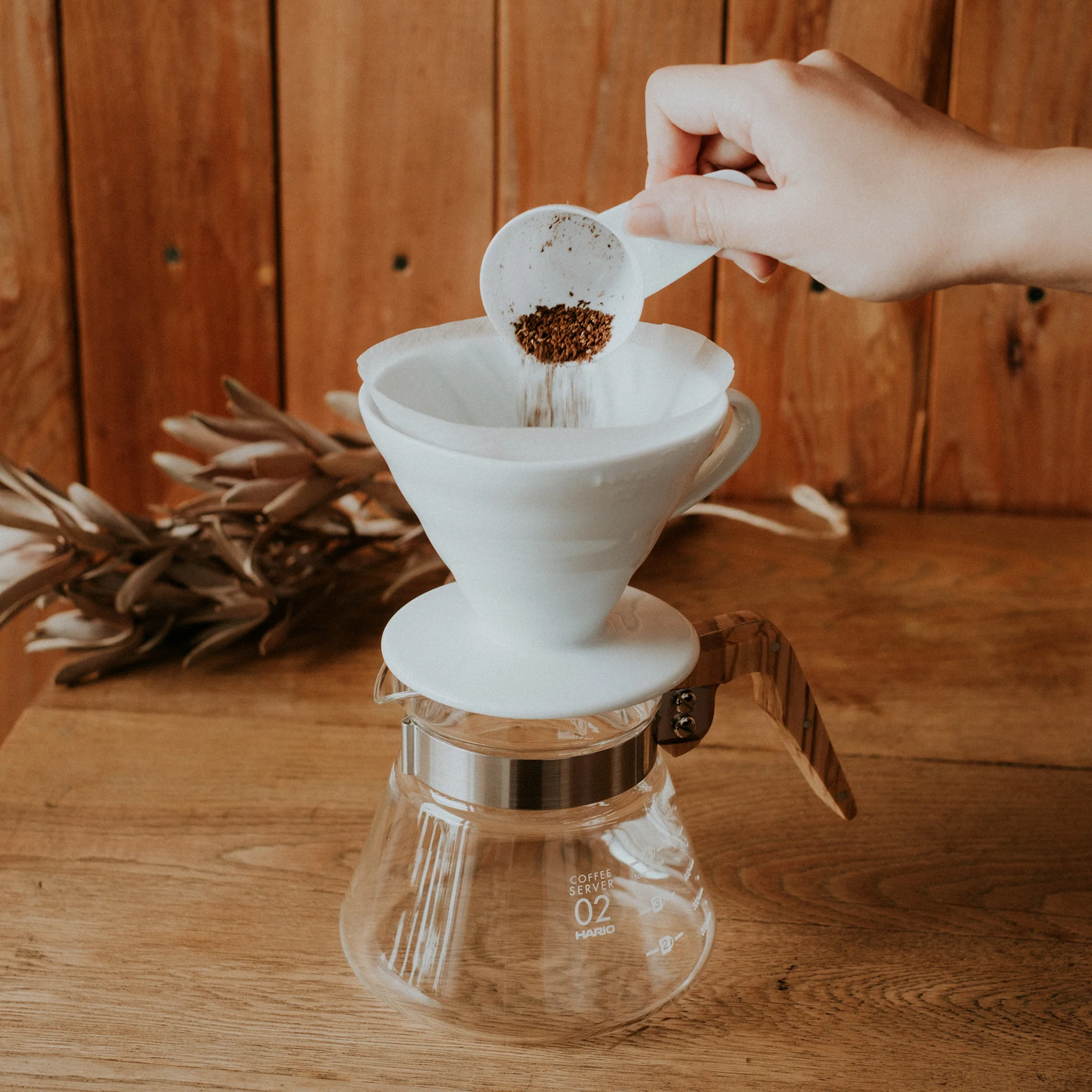 V60 Coffee Server 600mL / Olive Wood - Image 3