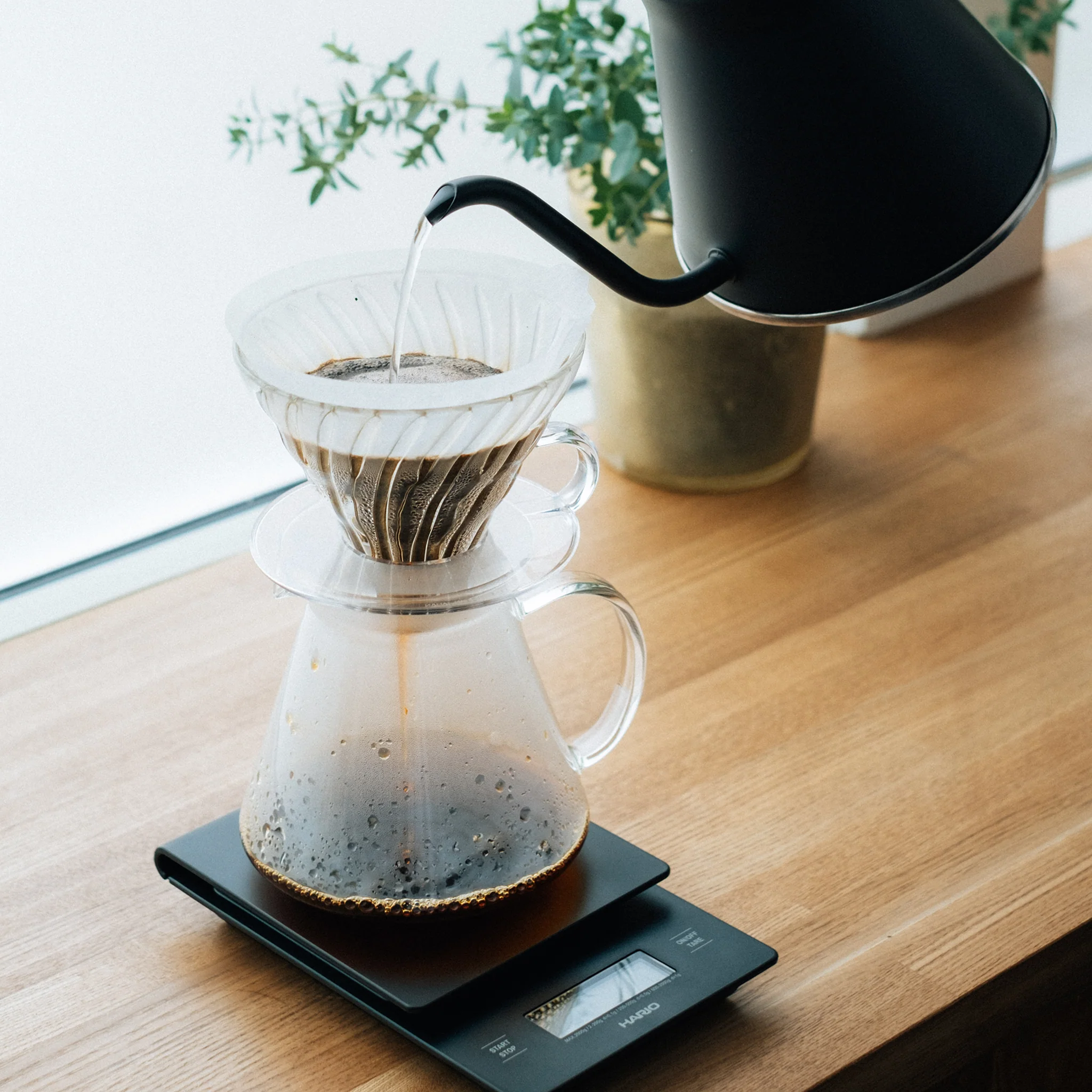 Simply V60 Glass Brewing Kit - Image 4